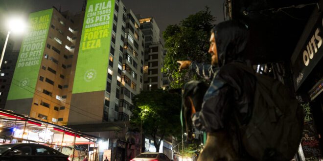 Guabi Natural transformou prédios de São Paulo em símbolos da luta contra o abandono de pets – Portal