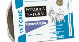 O Papel Dos Antioxidantes Naturais Na Recuperação De Cães E Gatos – Portal Cães e Gatos