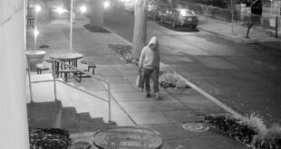 Boletim informativo de política da Fox News: Quem é Brian Cole, o suspeito da bomba tubular em DC?