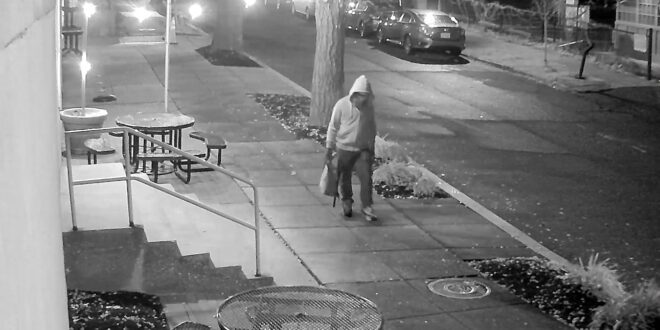 Boletim informativo de política da Fox News: Quem é Brian Cole, o suspeito da bomba tubular em DC?