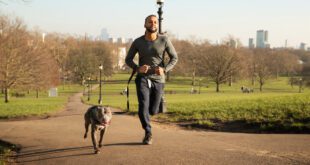 Corrida com cães: entenda como praticar o exercício com segurança – Portal Cães e Gatos