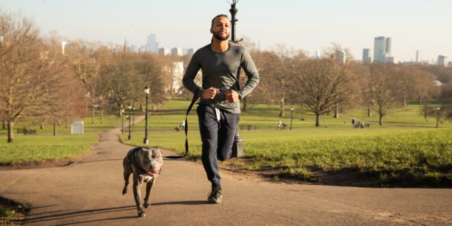 Corrida com cães: entenda como praticar o exercício com segurança – Portal Cães e Gatos