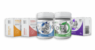 Soft Care revoluciona segmento de suplementos pet com proteína da Mosca Soldado Negra – Portal Cães e