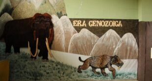 Unidade prisional promove exposição pedagógica sobre a história geológica do planeta Terra