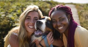 Casais jovens trocam filhos por pets, e cães já superam crianças em bairros da Inglaterra – Portal