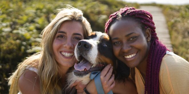 Casais jovens trocam filhos por pets, e cães já superam crianças em bairros da Inglaterra – Portal