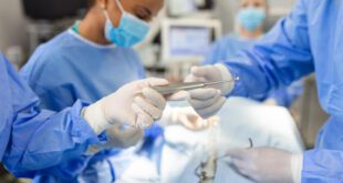 ONG oferece castração gratuita para cães e gatos vulneráveis no aniversário de São Paulo – Portal Cães