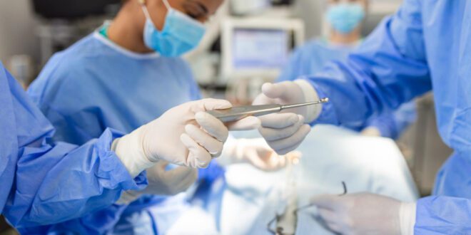 ONG oferece castração gratuita para cães e gatos vulneráveis no aniversário de São Paulo – Portal Cães