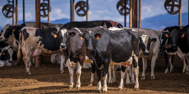 Seag divulga resultado preliminar do 4º ciclo de inscrições do Edital PIVE