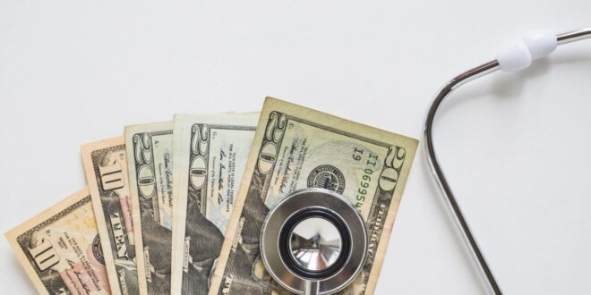 Novo ano, novos tributos: como reforma tributária afeta os médicos-veterinários – Portal Cães e Gatos