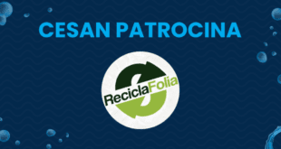 Cesan patrocina ReciclaFolia no Carnaval Capixaba 2026 – CESAN