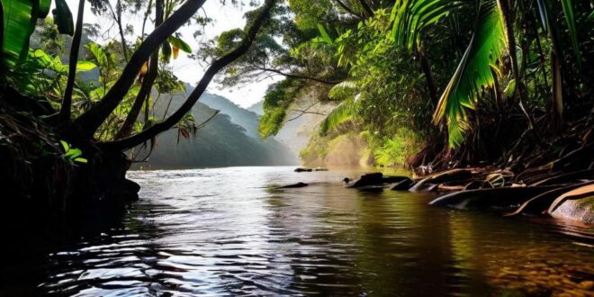 Água, Clima e Florestas: O Que Muda no Brasil Agora