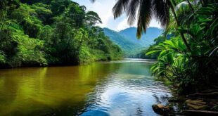 Meio Ambiente Muda Tudo no Brasil em Março