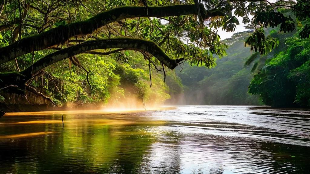 Pare de Ignorar as Crises Ambientais que Sacodem o Brasil