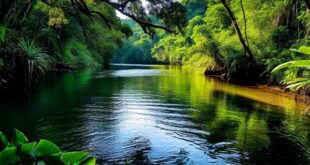 Único: Brasil Enfrenta Virada Ambiental Sem Precedentes