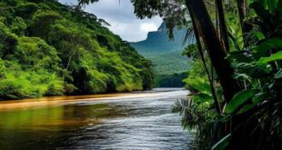 Descubra a Crise Ambiental que Agita o Brasil Agora