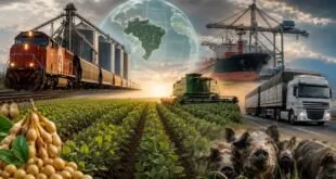 Exclusivo: Como o Brasil Sabota Seu Próprio Agronegócio