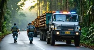 Policiais caminham em estrada de floresta ao lado de caminhão carregado de toras de madeira
