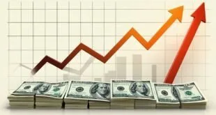 Gráficos de cotação do Ibovespa e Bitcoin em alta durante semana de dados econômicos