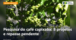 Pesquisa do café capixaba: 8 projetos e repasse pendente — Direto Notícias