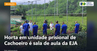 Horta em unidade prisional de Cachoeiro é sala de aula da EJA — Direto Notícias
