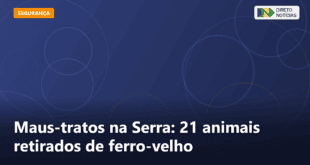 Maus-tratos na Serra: 21 animais retirados de ferro-velho — Direto Notícias