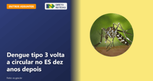 Dengue tipo 3 volta a circular no ES dez anos depois — Direto Notícias