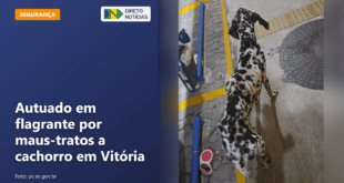 Autuado em flagrante por maus-tratos a cachorro em Vitória — Direto Notícias
