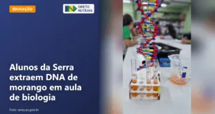Alunos da Serra extraem DNA de morango em aula de biologia — Direto Notícias