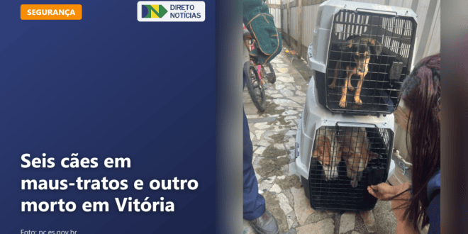 Seis cães em maus-tratos e outro morto em Vitória — Direto Notícias