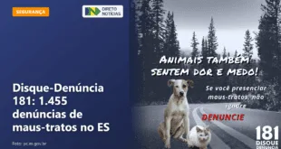 Disque-Denúncia 181: 1.455 denúncias de maus-tratos no ES — Direto Notícias
