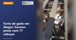 Furto de gado em Alegre: homem preso com 17 cabeças — Direto Notícias