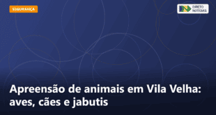 Apreensão de animais em Vila Velha: aves, cães e jabutis — Direto Notícias