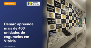Denarc apreende mais de 400 unidades de cogumelos em Vitória — Direto Notícias