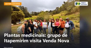 Plantas medicinais: grupo de Itapemirim visita Venda Nova — Direto Notícias