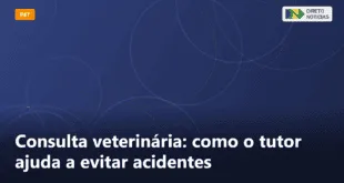 Consulta veterinária: como o tutor ajuda a evitar acidentes — Direto Notícias