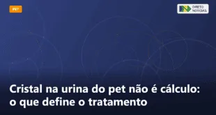 Cristal na urina do pet não é cálculo: o que define o tratamento — Direto Notícias