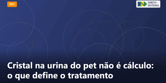 Cristal na urina do pet não é cálculo: o que define o tratamento — Direto Notícias
