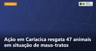 Ação em Cariacica resgata 47 animais em situação de maus-tratos — Direto Notícias