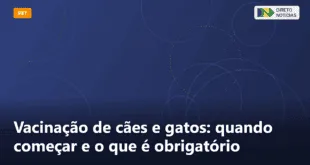 Vacinação de cães e gatos: quando começar e o que é obrigatório — Direto Notícias
