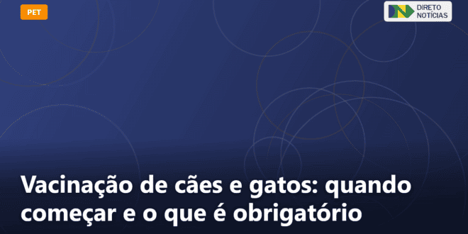 Vacinação de cães e gatos: quando começar e o que é obrigatório — Direto Notícias