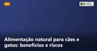 Alimentação natural para cães e gatos: benefícios e riscos — Direto Notícias