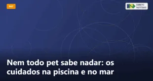 Nem todo pet sabe nadar: os cuidados na piscina e no mar — Direto Notícias