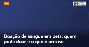 Doação de sangue em pets: quem pode doar e o que é preciso — Direto Notícias