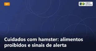 Cuidados com hamster: alimentos proibidos e sinais de alerta — Direto Notícias