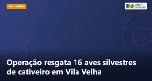 Operação resgata 16 aves silvestres de cativeiro em Vila Velha — Direto Notícias