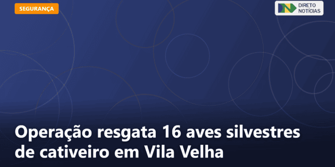 Operação resgata 16 aves silvestres de cativeiro em Vila Velha — Direto Notícias
