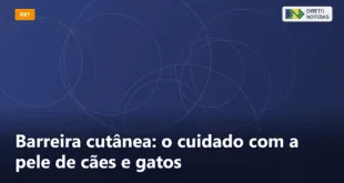 Barreira cutânea: o cuidado com a pele de cães e gatos — Direto Notícias