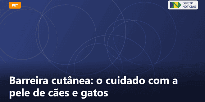 Barreira cutânea: o cuidado com a pele de cães e gatos — Direto Notícias