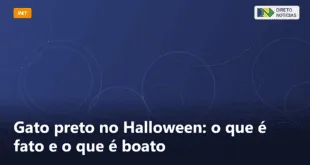 Gato preto no Halloween: o que é fato e o que é boato — Direto Notícias